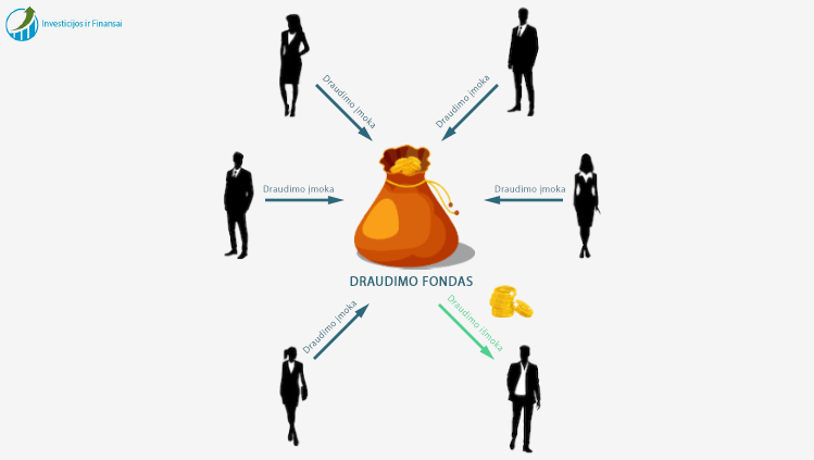 Draudimo sistemos pagrindą sudaro centralizuotas fondas, suformuotas iš tos pačios rūšies riziką apsidraudusių asmenų mokamų draudimo įmokų.