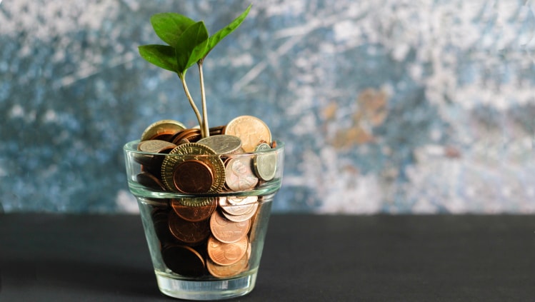 Išmokti kaip taupyti pinigus turėtų kiekvienas savo finansais ir ateitimi besirūpinantis žmogus.