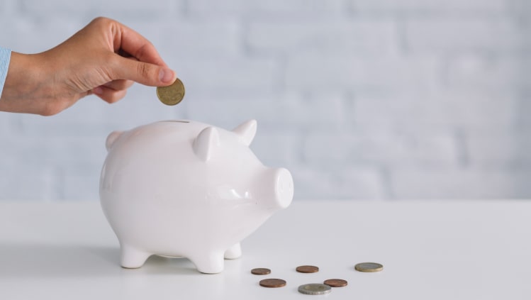 Pinigų taupymas – tai mokėjimas racionaliai ir efektyviai juos leisti. Sužinokite kaip mokėjimas taupyti gali pagerinti jūsų arba jūsų šeimos finansų būklę.