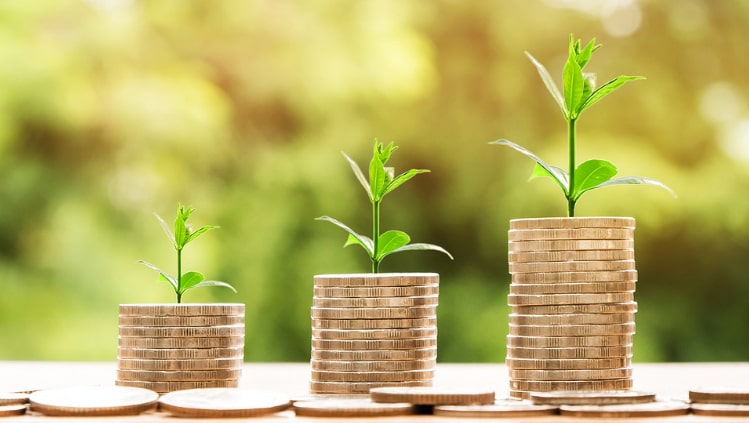 Investavimas - tai būdas uždirbti pinigus, kuomet pinigai dirba už jus. Sužinokite visus pagrindinius pinigų investavimo būdus ir priemones.